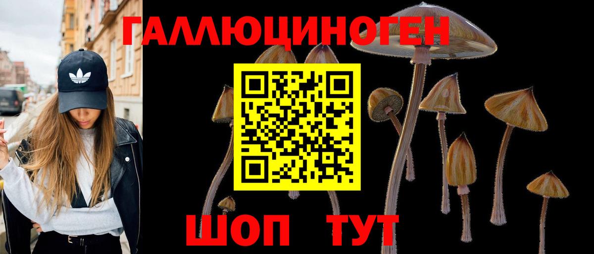 Псилоцибиновые грибы Cubensis  Вход с VPN  Чапаевск  Псилоцибиновые грибы Cubensis 